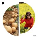 회천농장 이미지