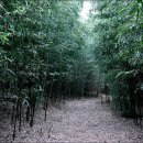 숲소리마을 이미지