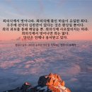 시작 이미지
