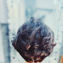 청학로114번길1 이미지