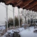 한옥민박사계절 이미지