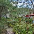 카페 빵선생 이미지