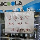 김순덕 | [맛집] 순덕님이랑 한잔! 할마카세 서울역 교향포차 순덕이네 “나 김순덕이다” 두번째 방문 후기