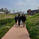 장현천 | 시흥 능곡동 장현천 구석구석 플로깅