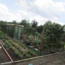 진리농장 이미지