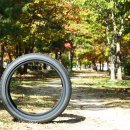 한국타이어 법원점 이미지