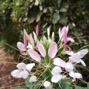 흑룡한의원 이미지