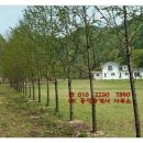 대둔산무인텔펜션 이미지