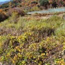 산수리농장 이미지