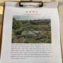 빌레뱅디 | [여행] 제주 빌레뱅디 (양식)