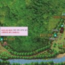 소백산 남천야영장1 이미지