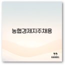 2025 농협경제지주 채용 일정과 자소서 필기 면접 후기 깔끔 정리