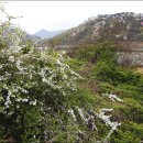 도안농장 이미지