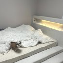 몽드펫 | 키디몽드 펫스텝 저상형침대 내돈내산 솔직 후기