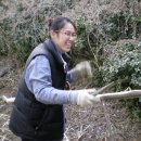 좋은나무어린이집 이미지