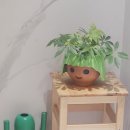 스테이인아트