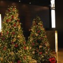 (주)호텔롯데 롯데시티 호텔마포 이미지