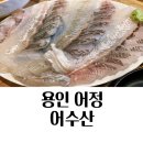어수로 | 어정역 횟집 어수산 회가 맛있는 집