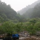 김금순농장 이미지