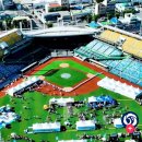 한밭야구장에 인조잔디 깔렸네요 이미지