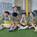 뚱뚱보바지 Daum카페