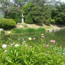 서운동산펜션 이미지