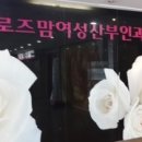 로즈맘산부인과 이미지