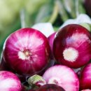 아이휘트니스클럽 이미지