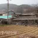 하촌2리 이미지