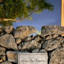 스테이인숲 이미지