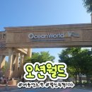 오션월드 할인 버거킹 실외락커 사당 셔틀버스 하이2시즌 (feat. HDEX)