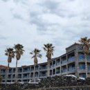 스테이 인 제주(stay in jeju) 이미지