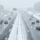 지호모터스 이미지