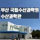 부산 아이와 가볼 만한 부산 국립수산과학원 수산과학관