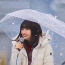 스즈 이미지