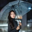 스튜디오보리 Daum카페