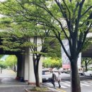 체육공원로 이미지