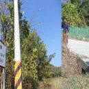 충도4리 이미지