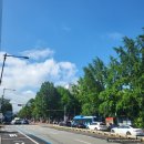 노랑통닭 태백점 | 2022년 7월의 일상 1 : 청와대 관람 후기