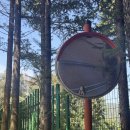 오즈의마법사유치원 | 오즈의 마법사 뮤지컬 후기