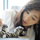 메이비디자인 이미지