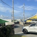 우연 한동 이미지