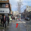 베이커리 오월의종 티스토리