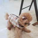 정윤에너지 이미지