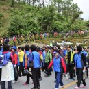 바우본가 이미지