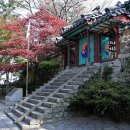 무림주유소 이미지