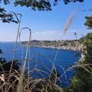 빽다방제주함덕점 이미지