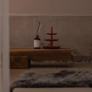 스테이 아담 이미지