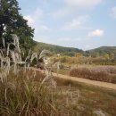 부자명당공인중개사사무소 이미지