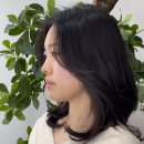 115-운정2-115 이미지